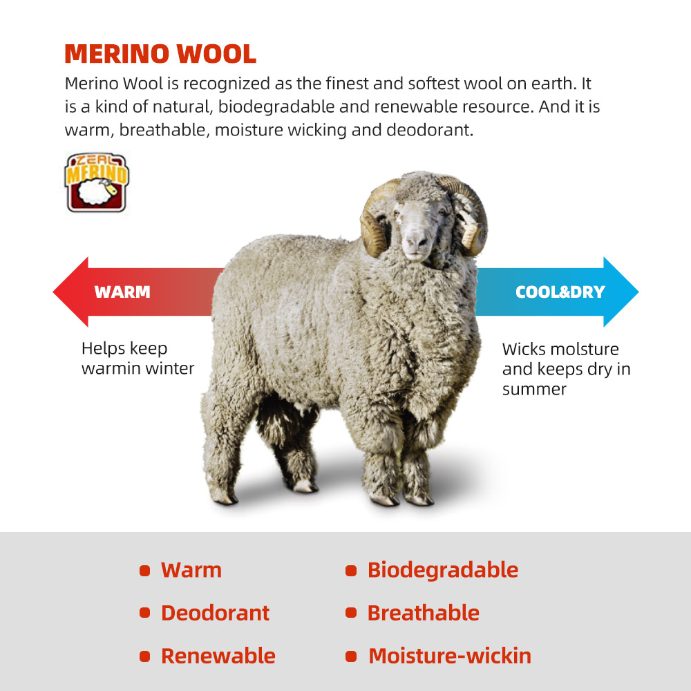 ZEALWOOD Merino Wool Running S - đánh giá và giá Wool Hiking Sock